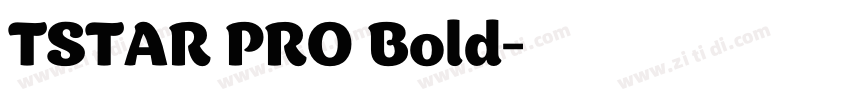 TSTAR PRO Bold字体转换